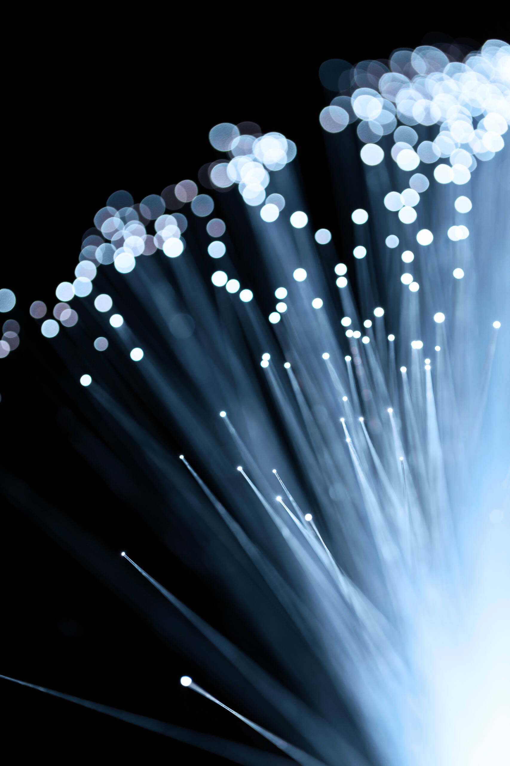 Cableado